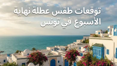 طقس تونس غداً الأحد 7 ديسمبر 2025: شمس وحرارة 19 درجة – التفاصيل الكاملة