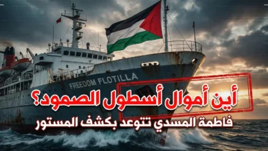 أسطول الصمود